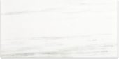 Polished Devotion 24X48 | Qualis Ceramica | Luxury Tile and Vinyl at affordable prices