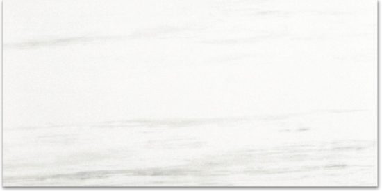Polished Devotion 24X48 | Qualis Ceramica | Luxury Tile and Vinyl at affordable prices