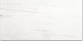 Polished Devotion 24X48 | Qualis Ceramica | Luxury Tile and Vinyl at affordable prices