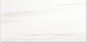 Polished Devotion 24X48 | Qualis Ceramica | Luxury Tile and Vinyl at affordable prices