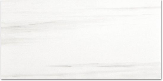 Polished Devotion 24X48 | Qualis Ceramica | Luxury Tile and Vinyl at affordable prices