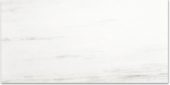Polished Devotion 24X48 | Qualis Ceramica | Luxury Tile and Vinyl at affordable prices
