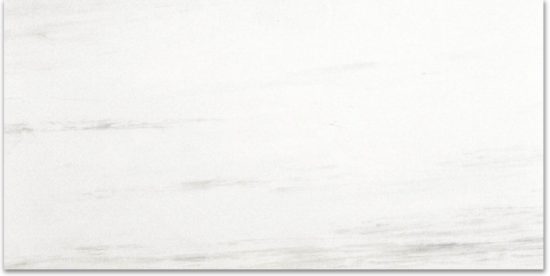 Polished Devotion 24X48 | Qualis Ceramica | Luxury Tile and Vinyl at affordable prices