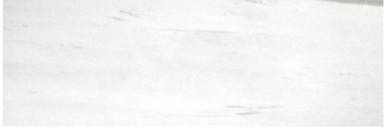 Polished Devotion 4X12 | Qualis Ceramica | Luxury Tile and Vinyl at affordable prices