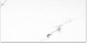 Polished Infatuation 12X24 | Qualis Ceramica | Luxury Tile and Vinyl at affordable prices