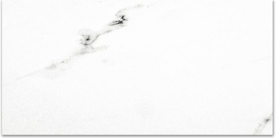 Polished Infatuation 16X32 | Qualis Ceramica | Luxury Tile and Vinyl at affordable prices