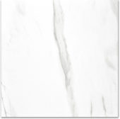 Polished Infatuation 24X24 | Qualis Ceramica | Luxury Tile and Vinyl at affordable prices