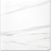 Polished Infatuation 24X24 | Qualis Ceramica | Luxury Tile and Vinyl at affordable prices