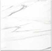 Polished Infatuation 24X24 | Qualis Ceramica | Luxury Tile and Vinyl at affordable prices