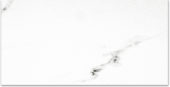 Polished Infatuation 24X48 | Qualis Ceramica | Luxury Tile and Vinyl at affordable prices