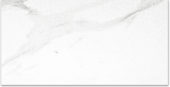 Polished Infatuation 24X48 | Qualis Ceramica | Luxury Tile and Vinyl at affordable prices