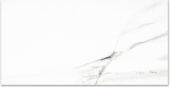 Polished Infatuation 24X48 | Qualis Ceramica | Luxury Tile and Vinyl at affordable prices