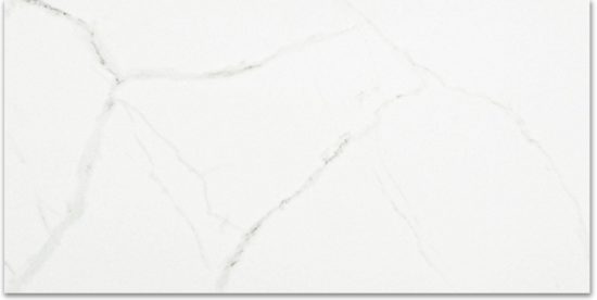 Polished Love 12X24 | Qualis Ceramica | Luxury Tile and Vinyl at affordable prices