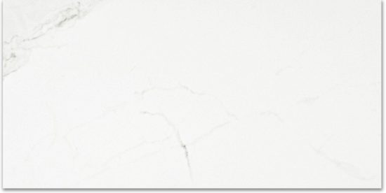 Polished Love 24X48 | Qualis Ceramica | Luxury Tile and Vinyl at affordable prices
