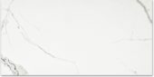 Polished Love 24X48 | Qualis Ceramica | Luxury Tile and Vinyl at affordable prices