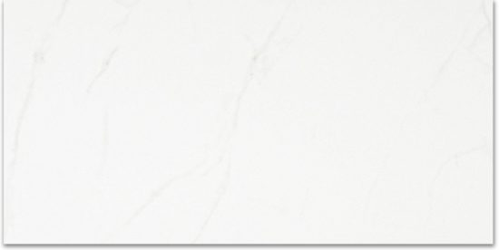 Polished Love 24X48 | Qualis Ceramica | Luxury Tile and Vinyl at affordable prices
