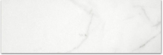 Polished Love 4X12 | Qualis Ceramica | Luxury Tile and Vinyl at affordable prices