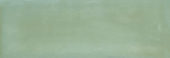 Aruba Moss Gloss 2x6 | Qualis Ceramica | Luxury Tile and Vinyl at affordable prices
