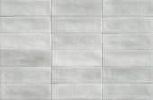 Aruba Silver Matt 2x6 | Qualis Ceramica | Luxury Tile and Vinyl at affordable prices