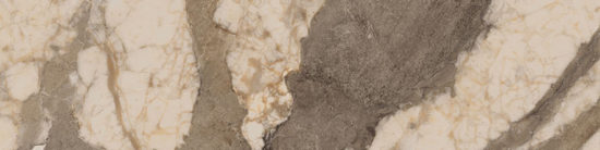 Dynasty Taupe 3X12 Bullnose | Qualis Ceramica | Luxury Tile and Vinyl at affordable prices