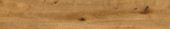 Oak Devonport | Qualis Ceramica | Luxury Tile and Vinyl at affordable prices