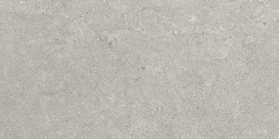 Denver 12X24F Graphite Matte | Qualis Ceramica | Luxury Tile and Vinyl at affordable prices