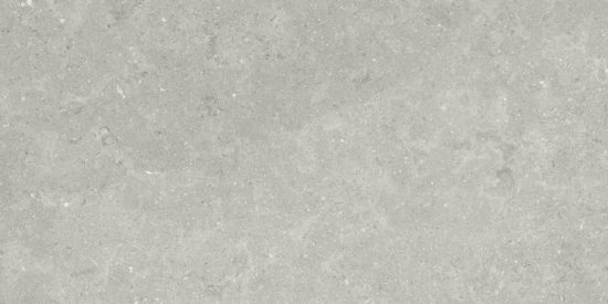 Denver 12X24F Graphite Matte | Qualis Ceramica | Luxury Tile and Vinyl at affordable prices