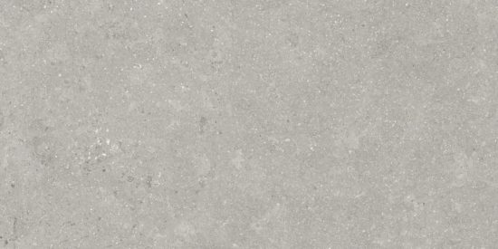 Denver 12X24F Graphite Matte | Qualis Ceramica | Luxury Tile and Vinyl at affordable prices