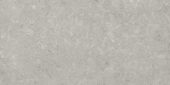 Denver 12X24F Graphite Matte | Qualis Ceramica | Luxury Tile and Vinyl at affordable prices