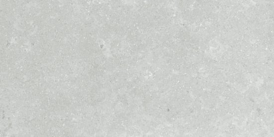 Denver 12X24F Platinum Matte | Qualis Ceramica | Luxury Tile and Vinyl at affordable prices