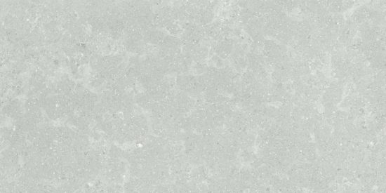 Denver 12X24F Platinum Matte | Qualis Ceramica | Luxury Tile and Vinyl at affordable prices