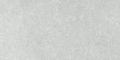 Denver 12X24F Platinum Matte | Qualis Ceramica | Luxury Tile and Vinyl at affordable prices