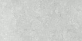 Denver 12X24F Platinum Matte | Qualis Ceramica | Luxury Tile and Vinyl at affordable prices