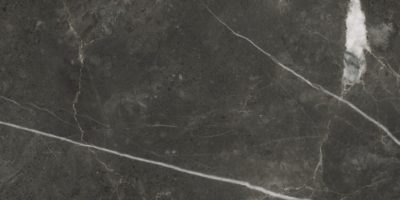 Florence 12X24F Carbon Texture