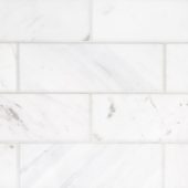 Camellia Field Tile 3” x 9” | Qualis Ceramica | Luxury Tile and Vinyl at affordable prices