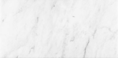 Bianco Venatino 12×24 Honed