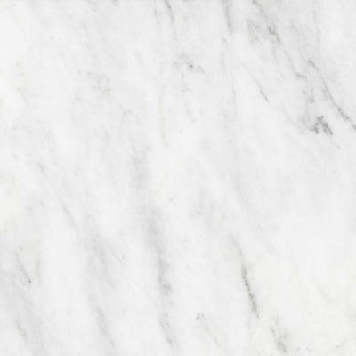 Bianco Venatino 18×18 Honed
