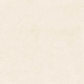 Serene Ivory 24x24 | Qualis Ceramica | Luxury Tile and Vinyl at affordable prices