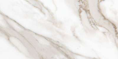 Royal Stoneworks 12X24 Calacatta Royale Honed