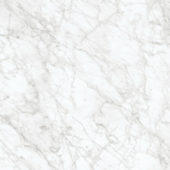 Royal Stoneworks 24X24 Old World Bianco Polished | Qualis Ceramica | Luxury Tile and Vinyl at affordable prices