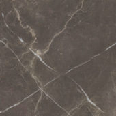 Royal Stoneworks 24X24 Regal Brown Marble Polished | Qualis Ceramica | Luxury Tile and Vinyl at affordable prices