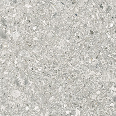 Royal Stoneworks 24X24 Regal Fossil Vein Grn