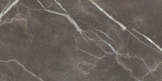 Royal Stoneworks 24X48 Regal Brown Marble Polished | Qualis Ceramica | Luxury Tile and Vinyl at affordable prices