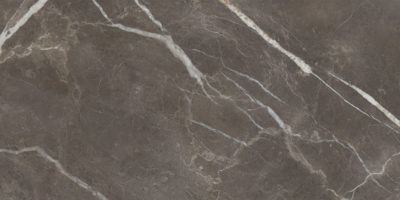 Royal Stoneworks 24X48 Regal Brown Marble Vintage