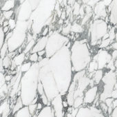 Royal Stoneworks 36X36 Italian Arabescato Honed | Qualis Ceramica | Luxury Tile and Vinyl at affordable prices