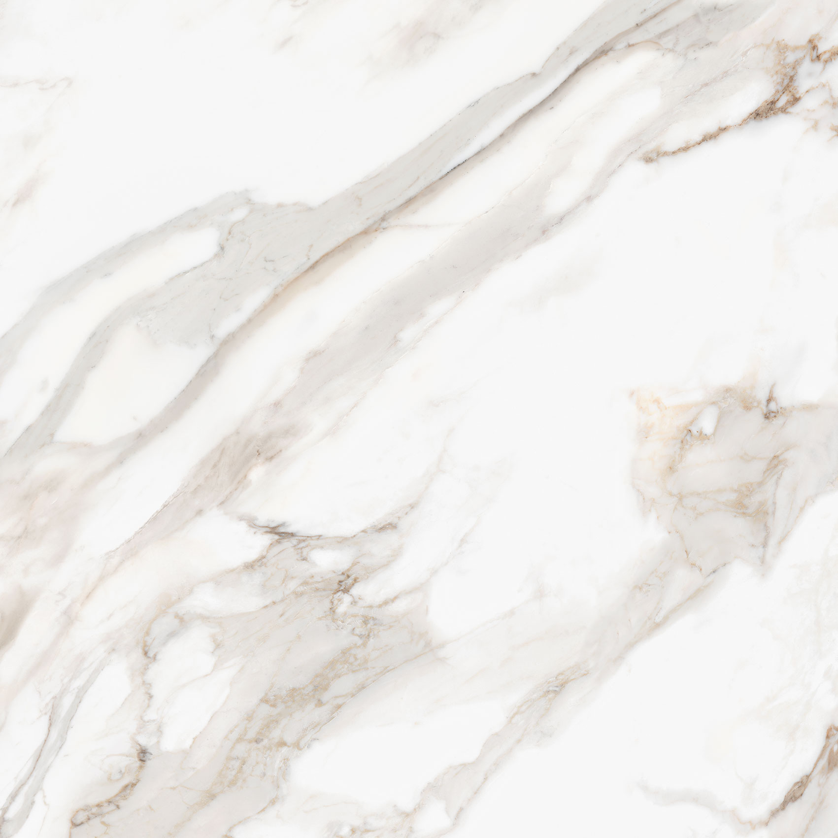 Royal Stoneworks 48X48 Calacatta Royale Polished