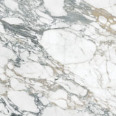 Royal Stoneworks 48X48 Italian Arabescato Polished | Qualis Ceramica | Luxury Tile and Vinyl at affordable prices