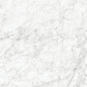 Royal Stoneworks 48X48 Old World Bianco Honed | Qualis Ceramica | Luxury Tile and Vinyl at affordable prices