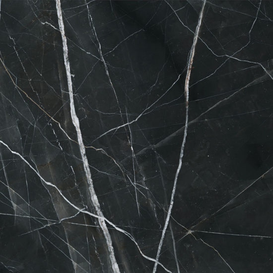 Royal Stoneworks 48X48 Regal Black Vein Honed | Qualis Ceramica | Luxury Tile and Vinyl at affordable prices