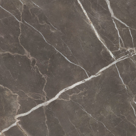 Royal Stoneworks 48X48 Regal Brown Marble Honed | Qualis Ceramica | Luxury Tile and Vinyl at affordable prices